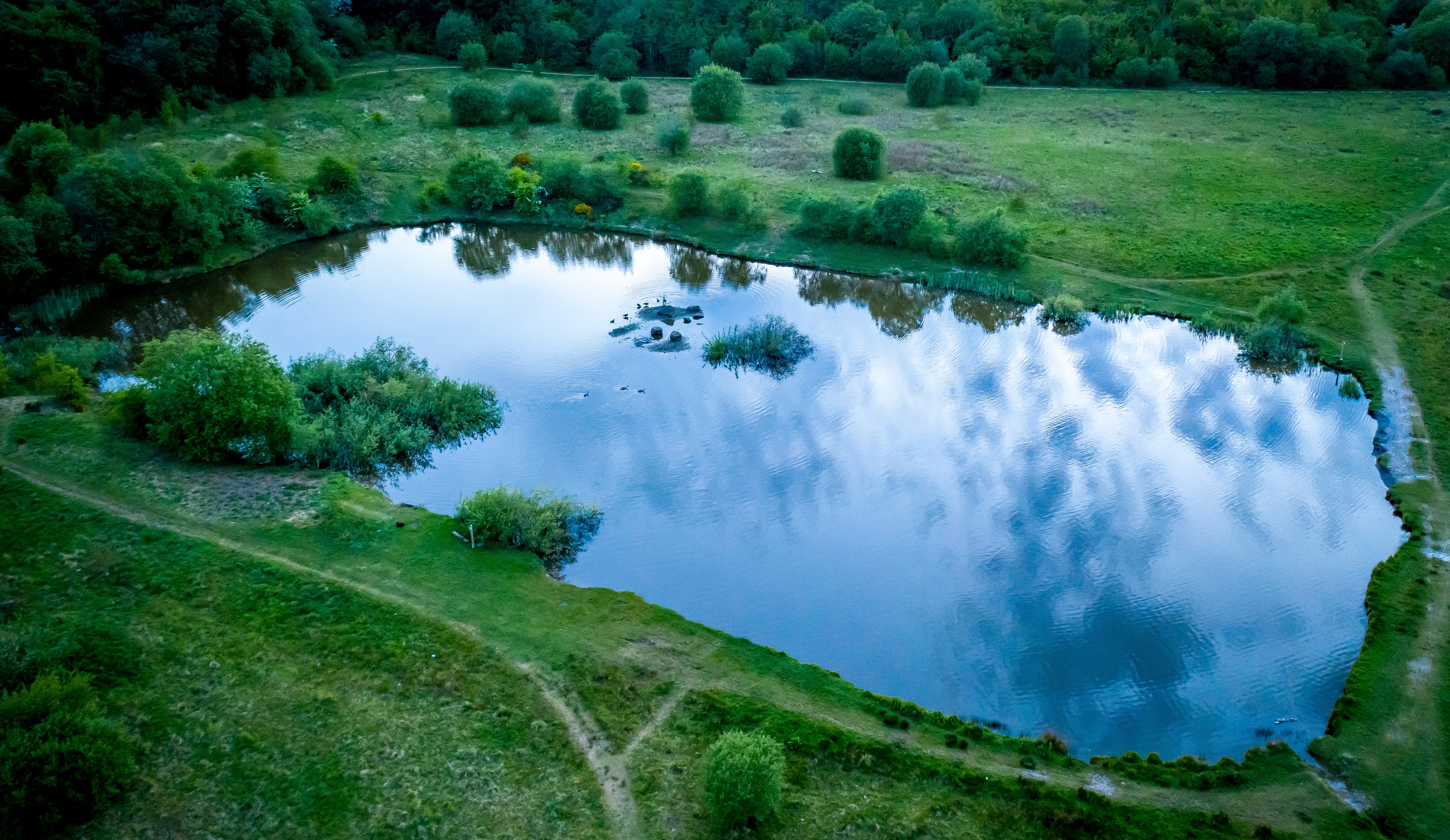 Four Ponds - Castbooker