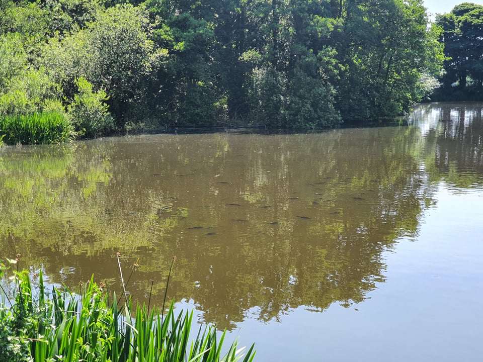 Essington Pools - Essington Parish Council - Castbooker